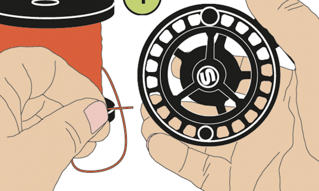 Illustrated step-by-step instructions