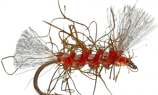 Abstract Image Of Fly Pattern