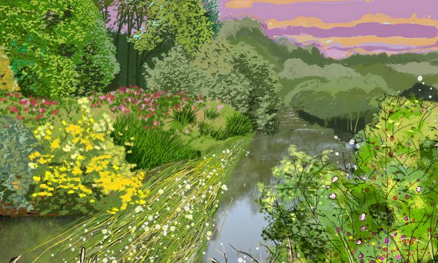 Water Crowfoot in the River Lugg