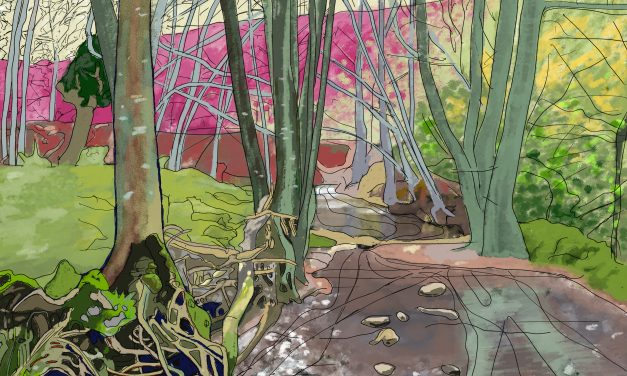 The Parks – Ewyas Harold