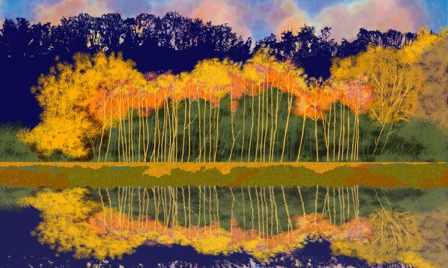 Sunset at Bodenham lakes